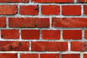 Bedrock Orlando wall-450106_1280-300x200 Restore the Color of Your Old Exterior Bricks 